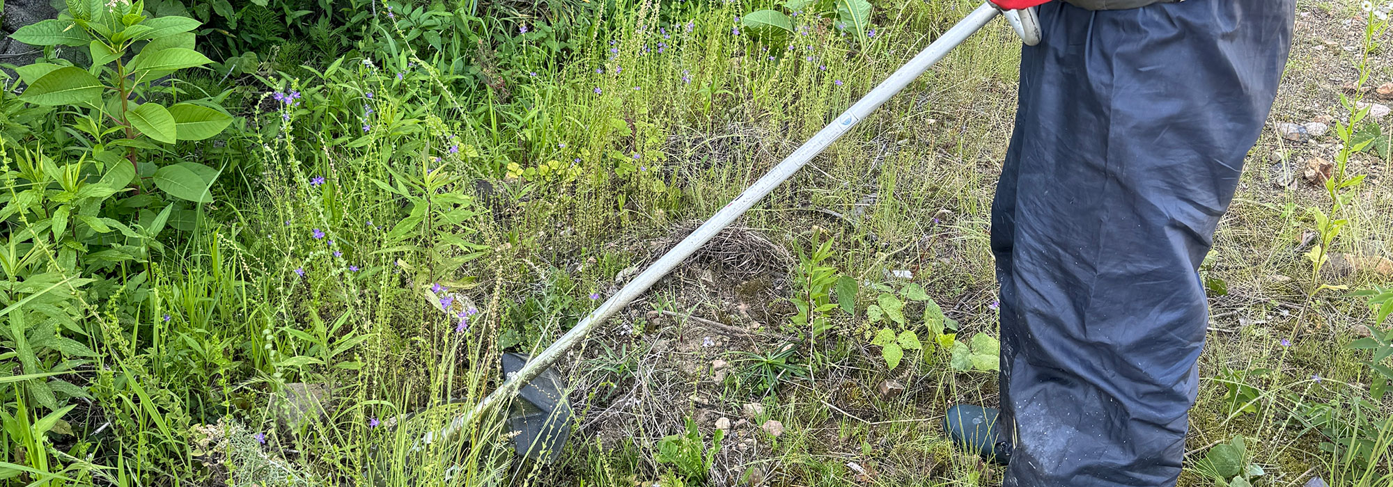 メンテナンス部門